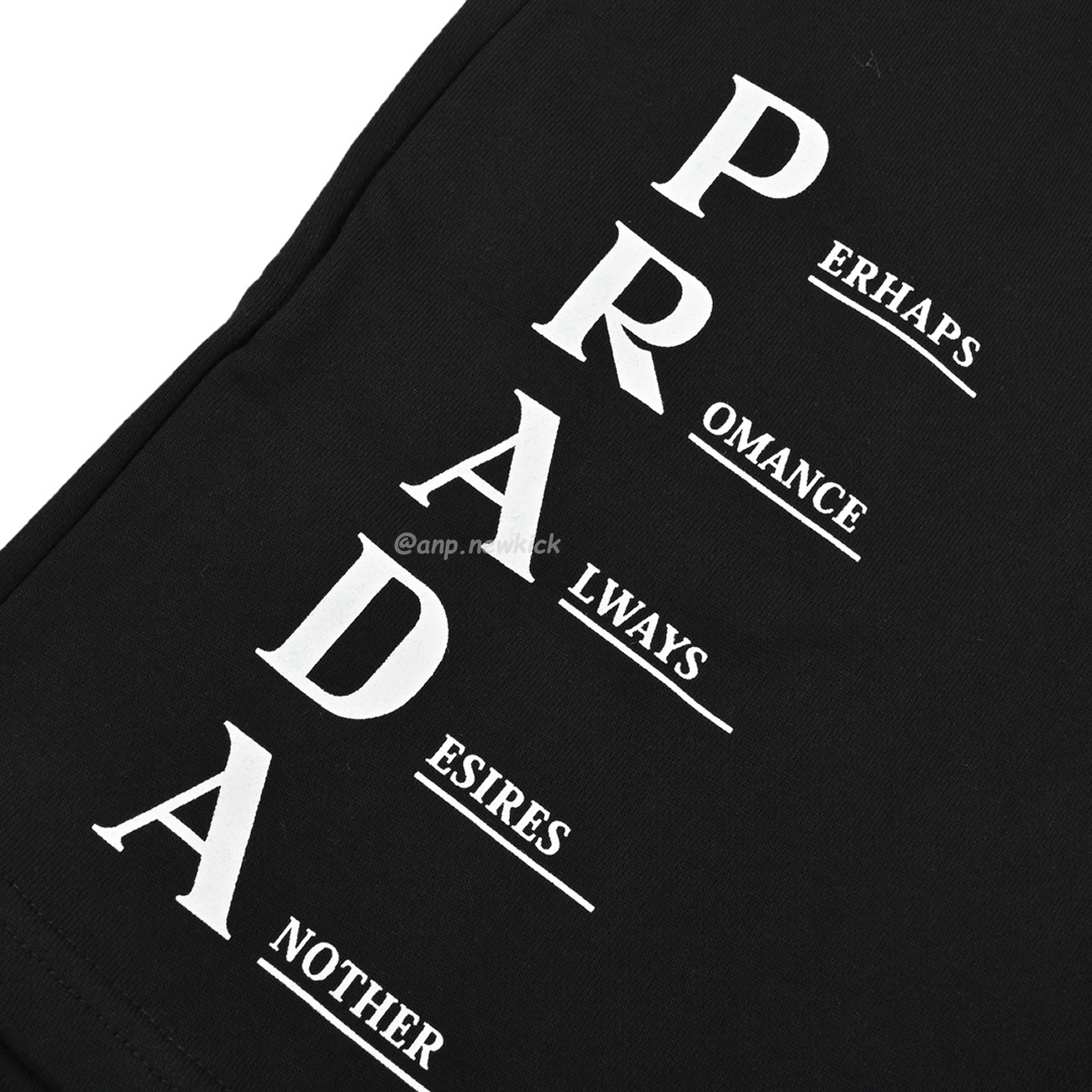 Prada Triangle Letter Logo Printed Shorts (4) - newkick.app